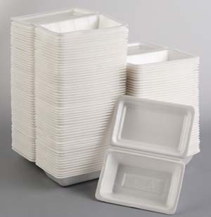 Styrofoam Food Packaging